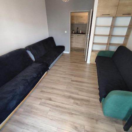 1120 Smialego 41 - Tanie Pokoje W Apartamencie - Samodzielne Zameldowanie - Self Check In Poznan Bagian luar foto